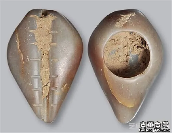 中國最早的貨幣「先秦貝幣」