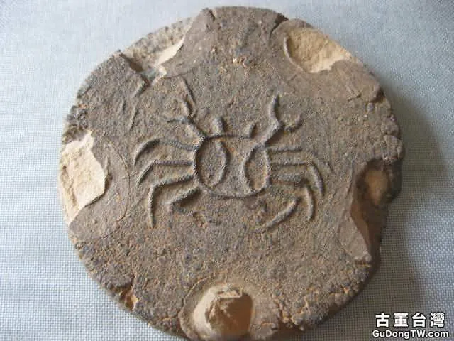 瓷器鑒定芝麻開門收藏-發現元代官窯?考古發掘與歷史文獻吻合!