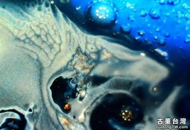 ?實物賞析:揭密比元青花還珍貴的「白滸孤窯」