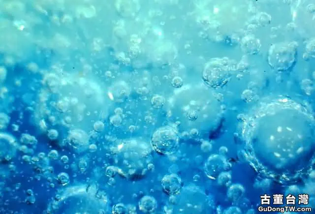 ?實物賞析:揭密比元青花還珍貴的「白滸孤窯」