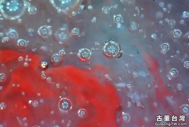 ?實物賞析:揭密比元青花還珍貴的「白滸孤窯」