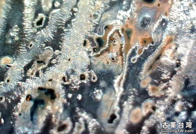 ?實物賞析:揭密比元青花還珍貴的「白滸孤窯」