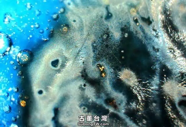 ?實物賞析:揭密比元青花還珍貴的「白滸孤窯」